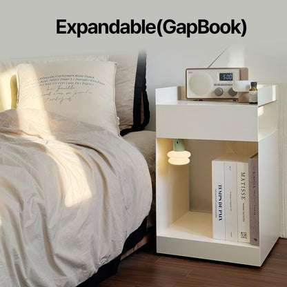 Book Shape Decorative Cable Management Box - Expandable Cable Organizer Box with Magnetic Closure for Home & Office (Blue Coral, Large)