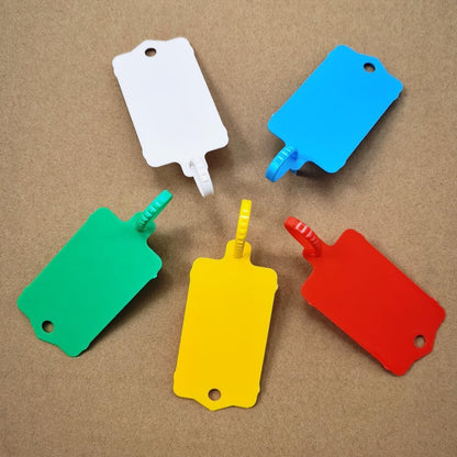 100pcs Reusable Blank Plastic Tags Ties Key Tags 1.45"*2.48" Serrated Tension Sealing Strap with Large Label Plastic Tie Mark Label Waterproof Hang Sign Write on Tag (Red, 100pcs)