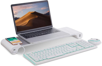PG Silver Monitor Stand Riser with 4-Port USB Charging ports, Convenient keyboard organiser,Desktop Organizer for Computer, Laptop, TV, Printer - Ergonomic Keyboard Tray & Storage Shelf.