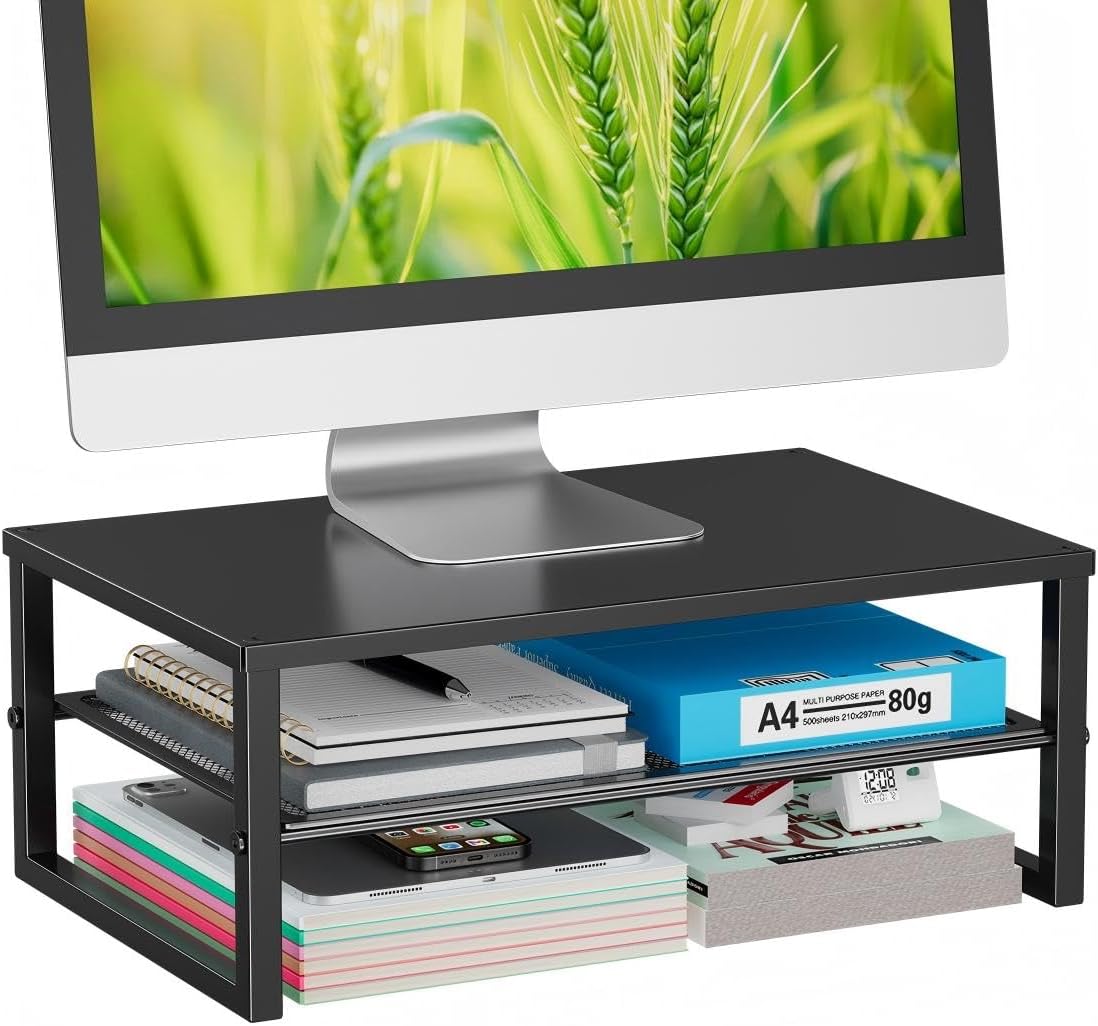 Ekisemio 2-Tier Computer Monitor Stand Riser, Desk Organizer for Monitor, Black