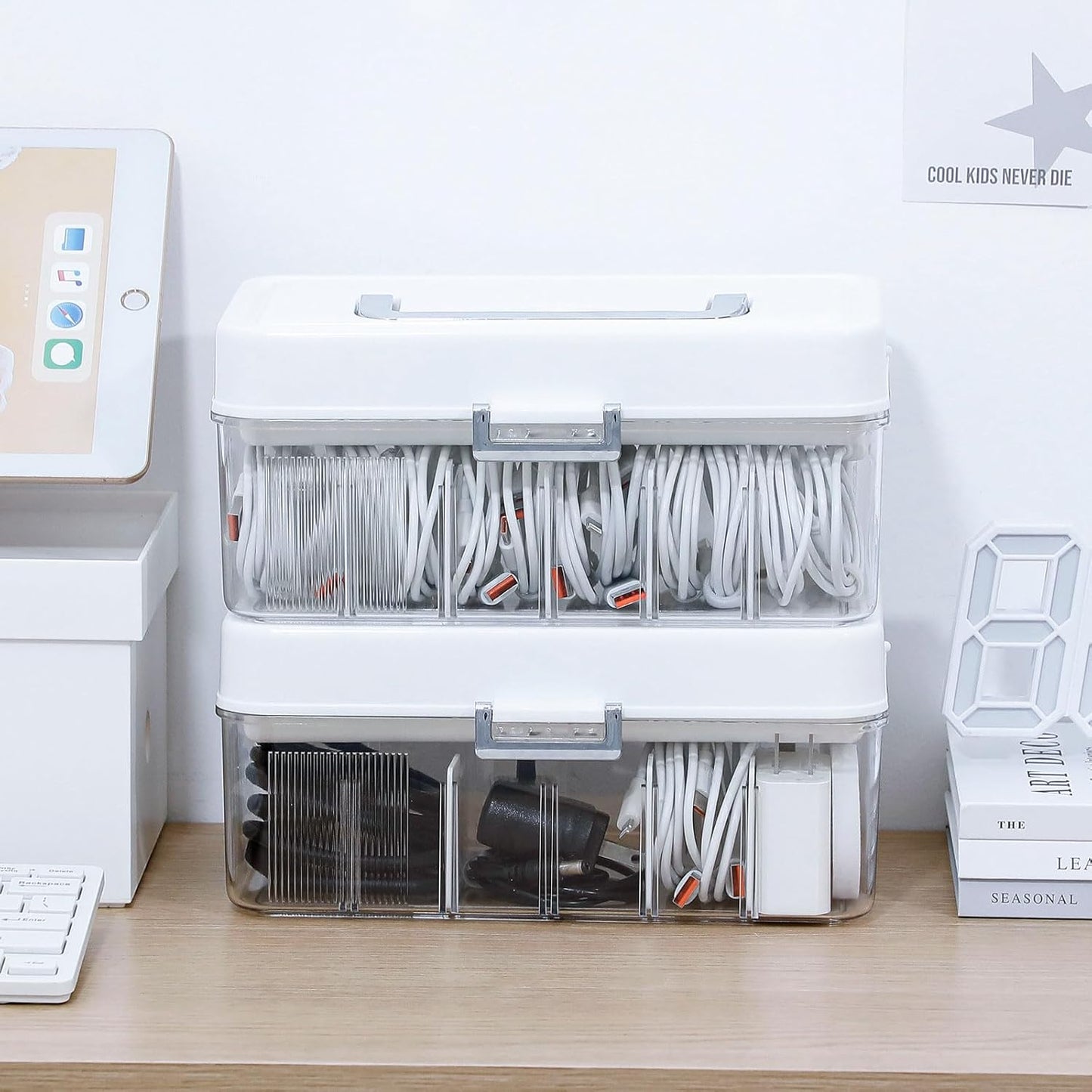 Large Cable Organizer Box with Lid, Plastic Cord Storage Case with Handle and Wire Ties for Home Office, Phone Charger, Art Crafts, Stationery