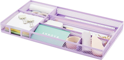 Annova Desk Drawer Organizer Tray for Office Organization - Metal Mesh - Storage Tray with Dividers for Pens, Desktop Accessories, Bathroom, Kitchen, Makeup and Office Supplies (Small, Gold)