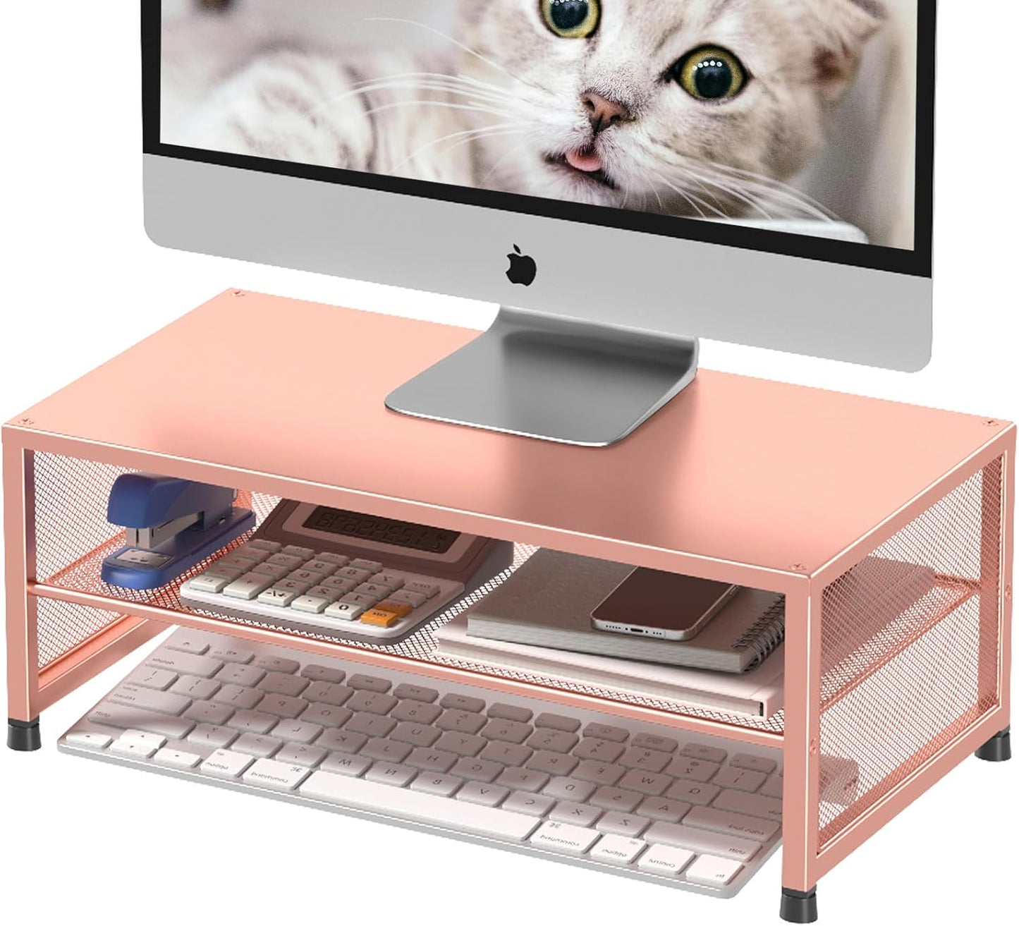 ECOLOVI 2-Tier Computer Monitor Stand Riser, Desk Organizer for Monitor, Printer & Laptop Stand, Desktop Workspace Organizers for Office Supplies(Black)