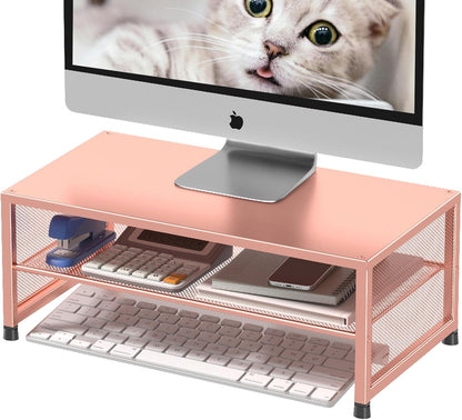 ECOLOVI 2-Tier Computer Monitor Stand Riser, Desk Organizer for Monitor, Printer & Laptop Stand, Desktop Workspace Organizers for Office Supplies(Black)