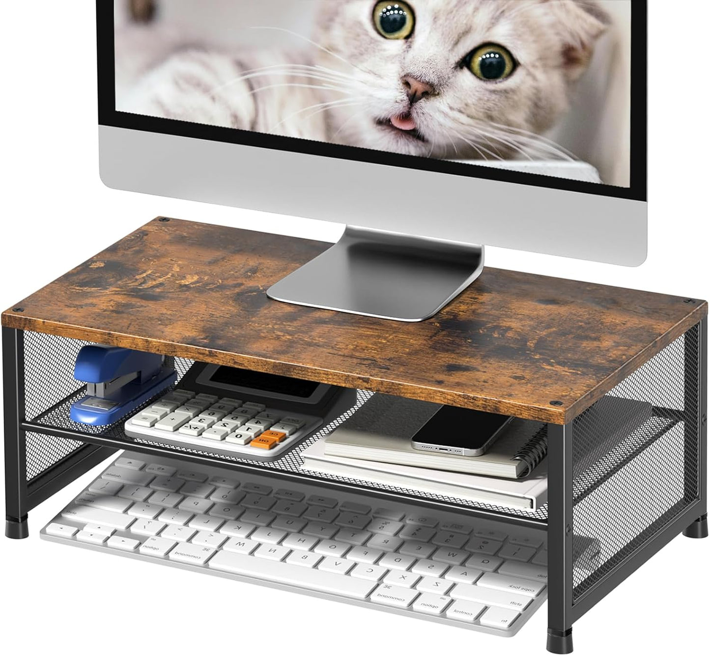 ECOLOVI 2-Tier Computer Monitor Stand Riser, Desk Organizer for Monitor, Printer & Laptop Stand, Desktop Workspace Organizers for Office Supplies(Black)