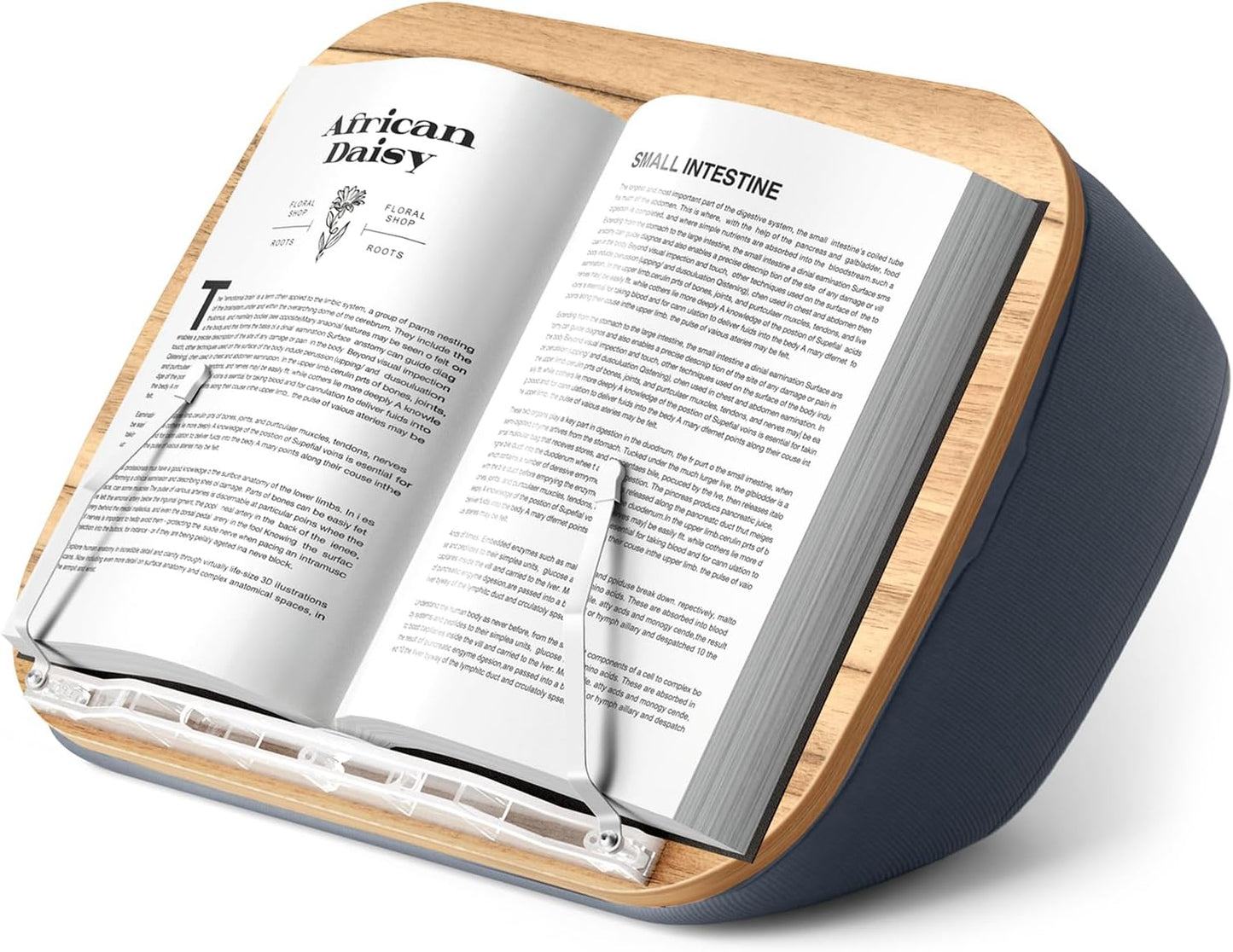 ERGONOV Lap Beanbag Book Stand for Hands Free Reading Comfortable Reading Pillow Stand Minimize Neck Strain Perfect Idea for Book Lovers in Dorm Room or Anywhere Else with Bookseat(Gray)