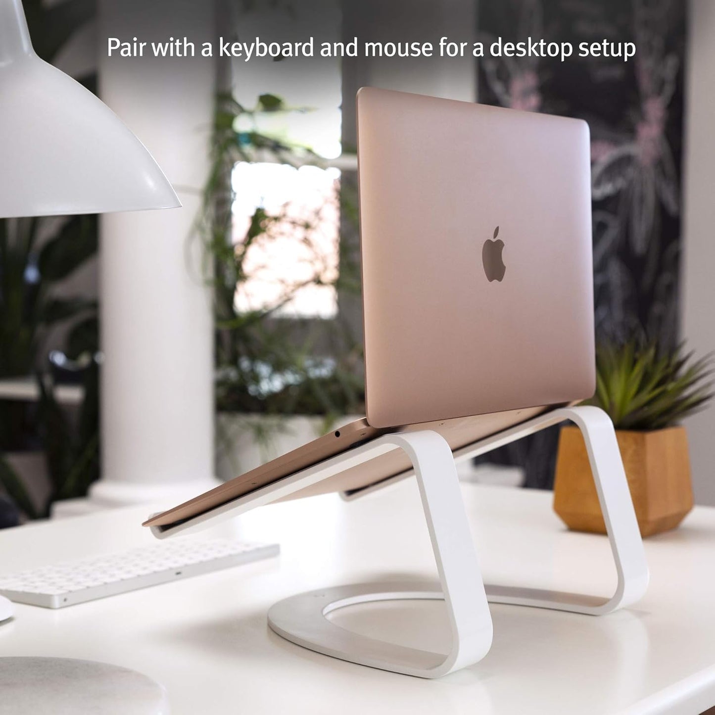 Twelve South Curve SE Ergonomic Aluminum Laptop and MacBook Stand with Anti-Slip Silicone to Prevent Scratching | Compatible with 11" to 17” laptops