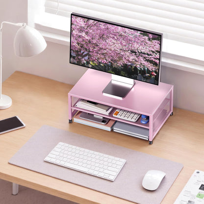 ECOLOVI 2-Tier Computer Monitor Stand Riser, Desk Organizer for Monitor, Printer & Laptop Stand, Desktop Workspace Organizers for Office Supplies(Black)