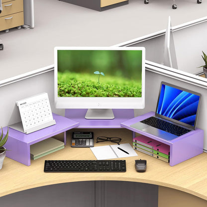 Desk Organizers and Accessories, Dual Monitor Stand Riser, Monitor Desk Shelf for Desktop Organization (Black)