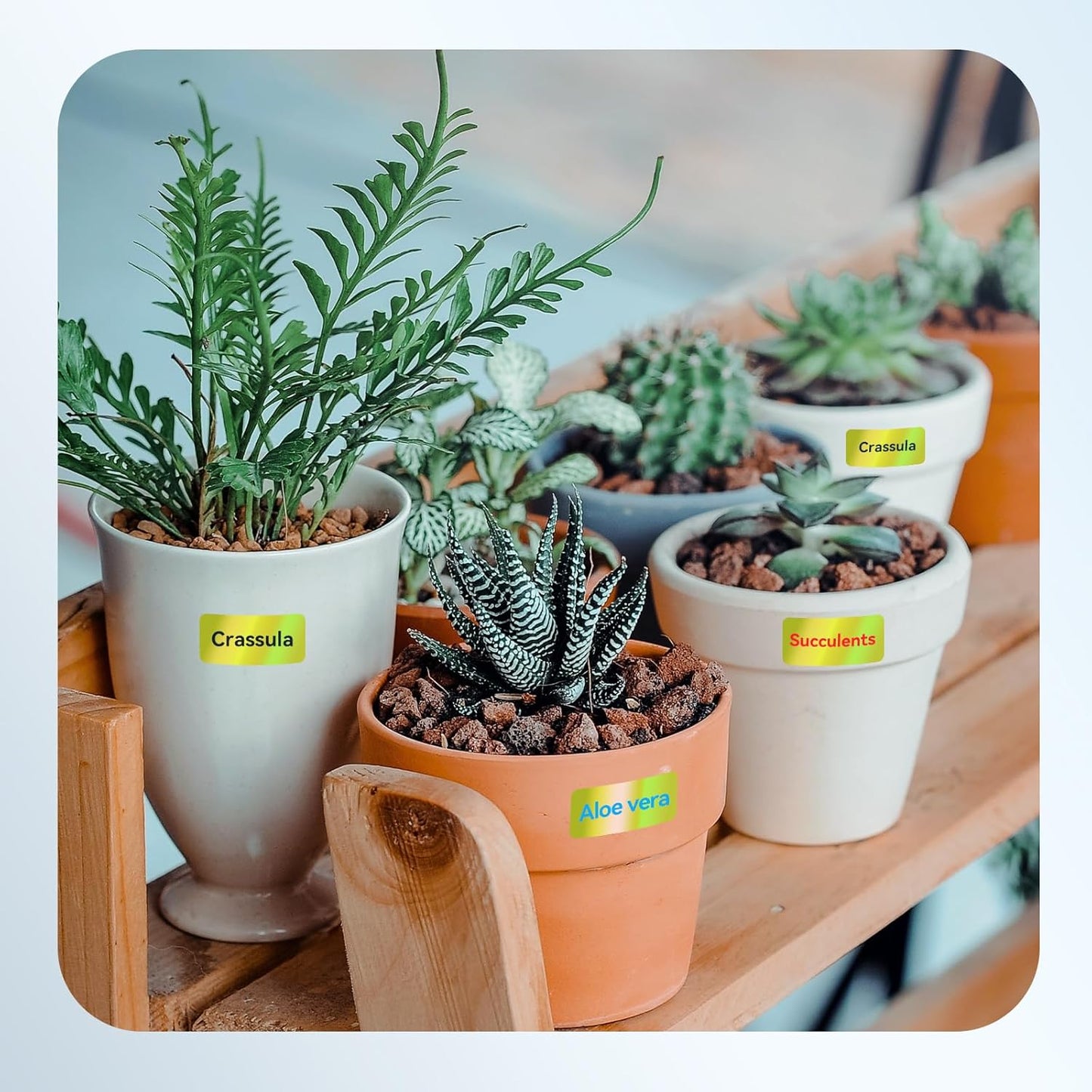 NIIMBOT Thermal Transfer Cable Labels 0.49" x 4.29", Only for N1(B18) Label Maker, PET Material, Waterproof and High-Temperature Resistance, Long Storage Time, 1 Roll of 60, Yellow