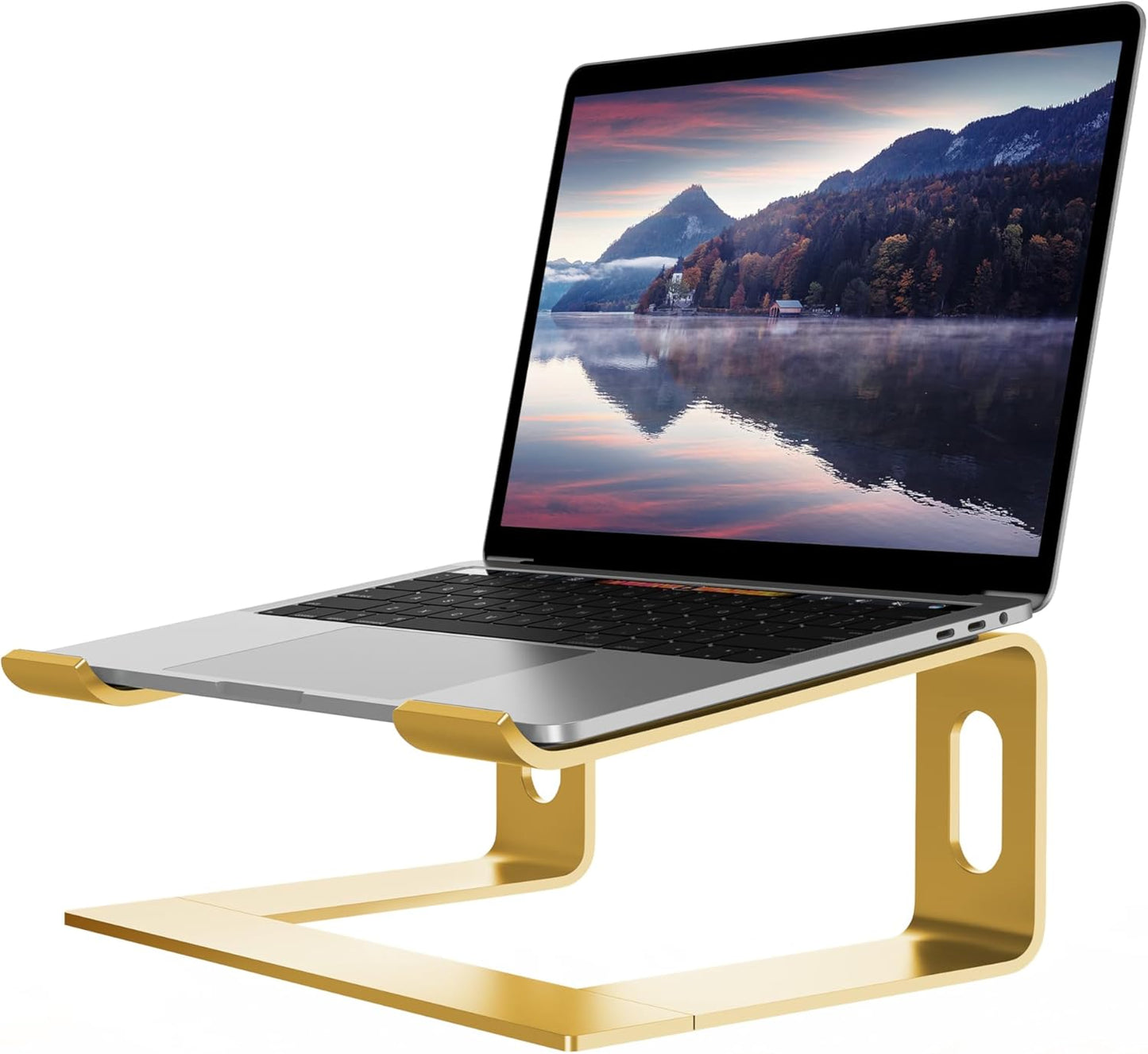 ALASHI Laptop Stand for Desk, Aluminum Computer Riser, Ergonomic Notebook Holder, Detachable Metal Laptops Elevator, PC Cooling Mount Support 10 to 15.6 Inches Notebook, Black