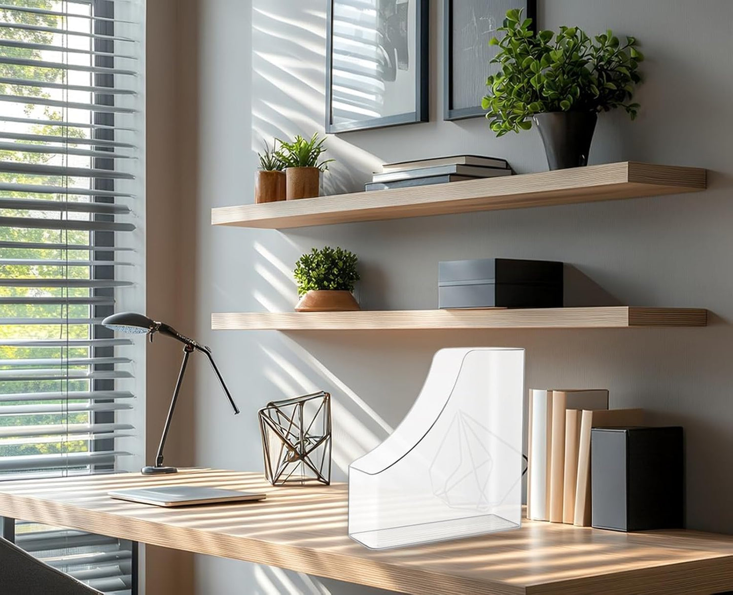 2 Pack Vertical File Holder Clear Acrylic Desk Organizer Storage Bins Holding Plastic Document Organizer PET Magazine Holder Basics Vertical Magazine Rack for Home Office School