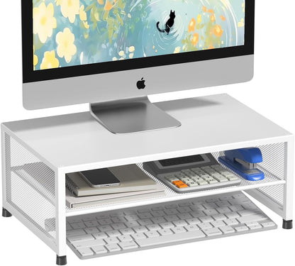 ECOLOVI 2-Tier Computer Monitor Stand Riser, Desk Organizer for Monitor, Printer & Laptop Stand, Desktop Workspace Organizers for Office Supplies(Black)