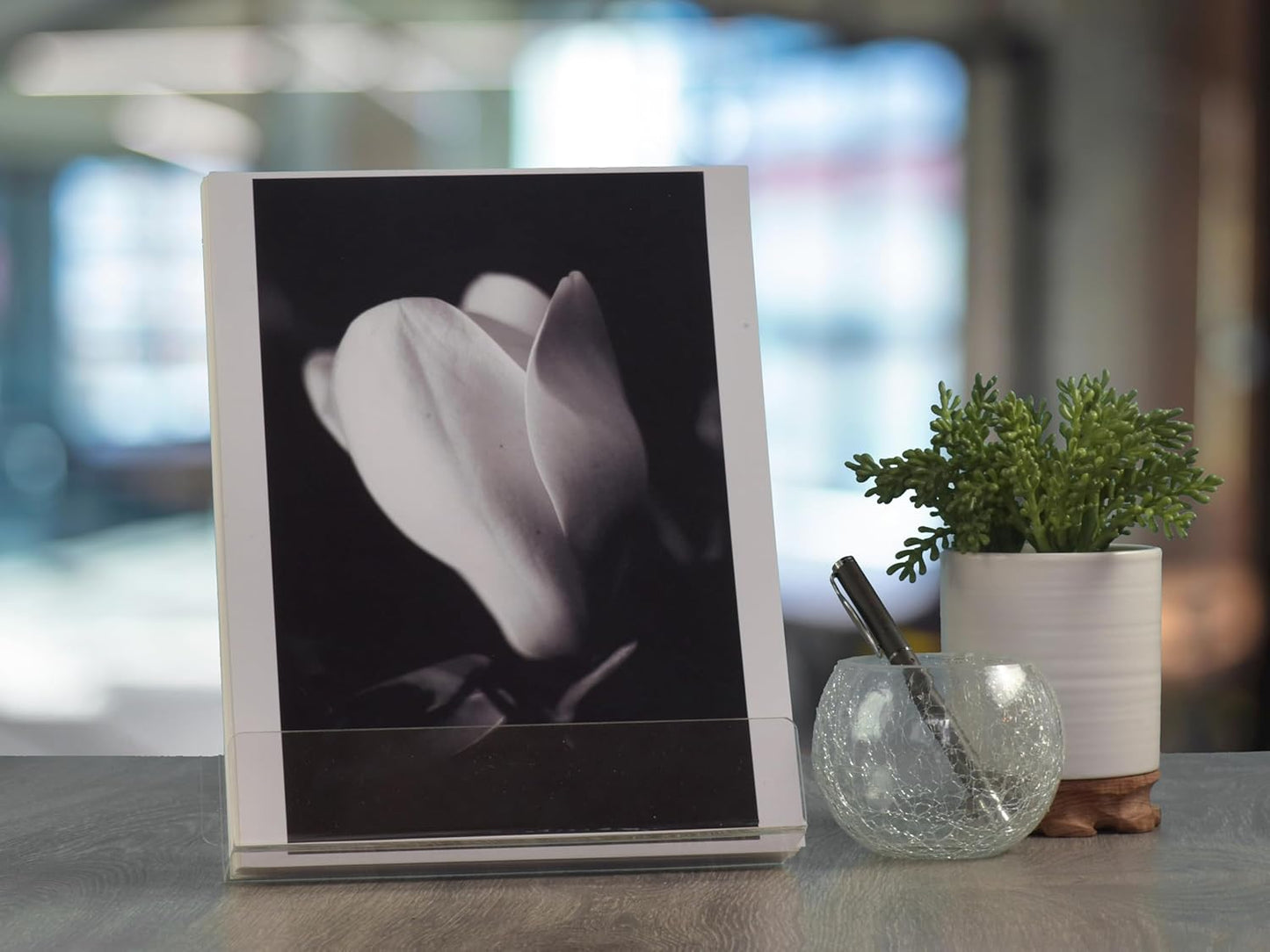 Dazzling Displays Book Easel 8.5 by 11 Slant Back with Lip Paper Stand, Clear Tablet Holder, Thick Acrylic Stand Open Ended Portrait Sized Literature Display for Home, Office, Business, School (1)
