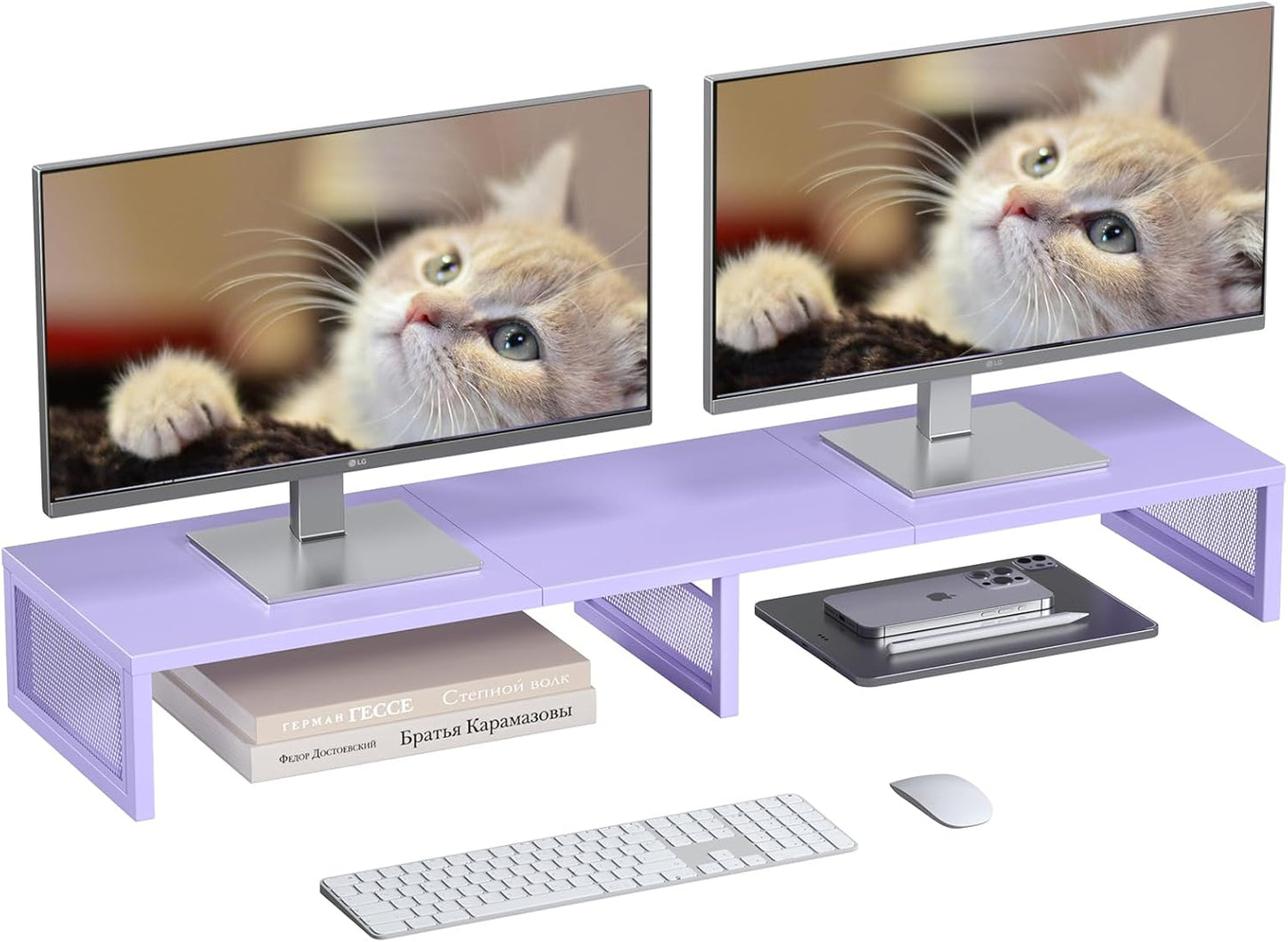 Dual Computer Monitor Stand Riser, Desk Organizers and Accessories, Printer & TV Stand, Desk Shelf, Office Desk Accessories & Desktop Workspace Organizer for Office Supplies, Black