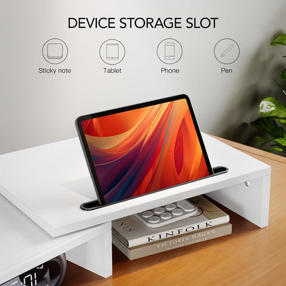AMERIERGO Dual Monitor Stand Riser for 2 Monitors, Monitor Stand for Desk, Adjustable Computer Monitor Stand with 2 Slot, Multifunctional Desktop Organizer Stand for Laptop, PC, Computer, Printer