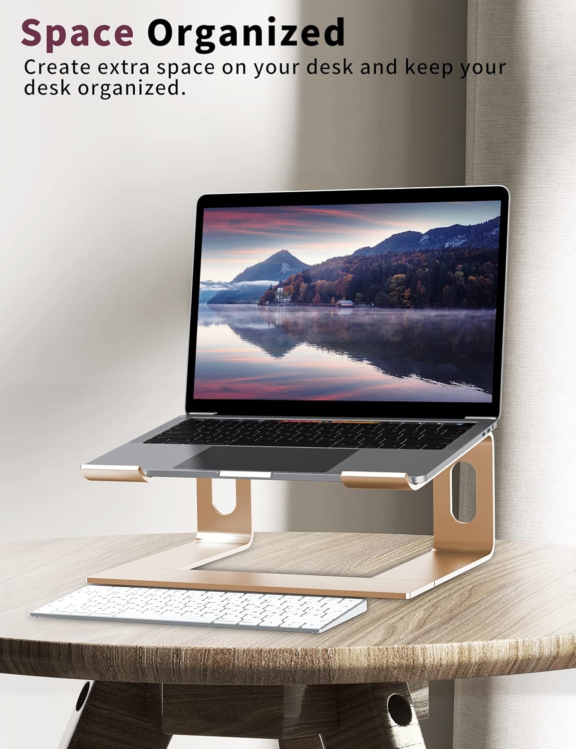 ALASHI Laptop Stand for Desk, Aluminum Computer Riser, Ergonomic Notebook Holder, Detachable Metal Laptops Elevator, PC Cooling Mount Support 10 to 15.6 Inches Notebook, Black