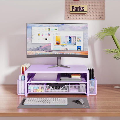 OPNICE Desk Organizer and Accessories, 2-Tier Computer Monitor Stand Riser with Drawer and 2 Pen Holders, Laptop Stand, Office Desk Accessories for Office Supplies, Black