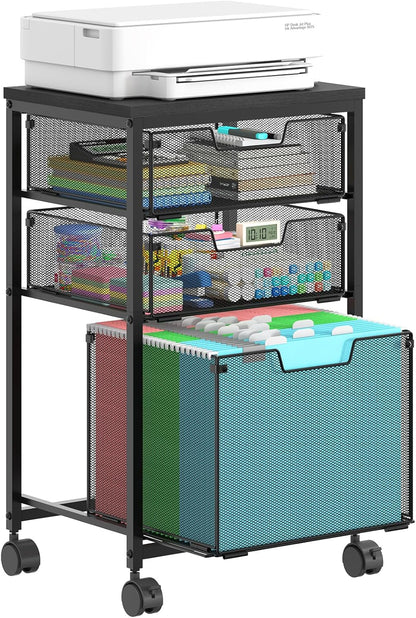 Sbanmao Rolling File Cart with 2 Storage Drawers, Mobile File Cabinet with Wheels, Hanging File Folder Organizer, Under Desk Storage, Printer Stand Utility Cart Filing Cabinet for Home Office,Black
