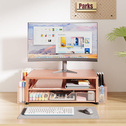 OPNICE Desk Organizer and Accessories, 2-Tier Computer Monitor Stand Riser with Drawer and 2 Pen Holders, Laptop Stand, Office Desk Accessories for Office Supplies, Black