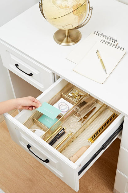 Annova Desk Drawer Organizer Tray for Office Organization - Metal Mesh - Storage Tray with Dividers for Pens, Desktop Accessories, Bathroom, Kitchen, Makeup and Office Supplies (Small, Gold)