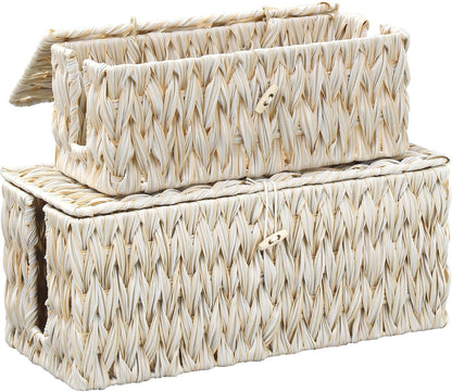 Coeusy Cable Management Box,Boho Decorative Handwoven 2 Open Slots Cord Organizer Hider Box with Lid for TV Wires, Computer, Router, USB Hub and Under Desk Power Strip