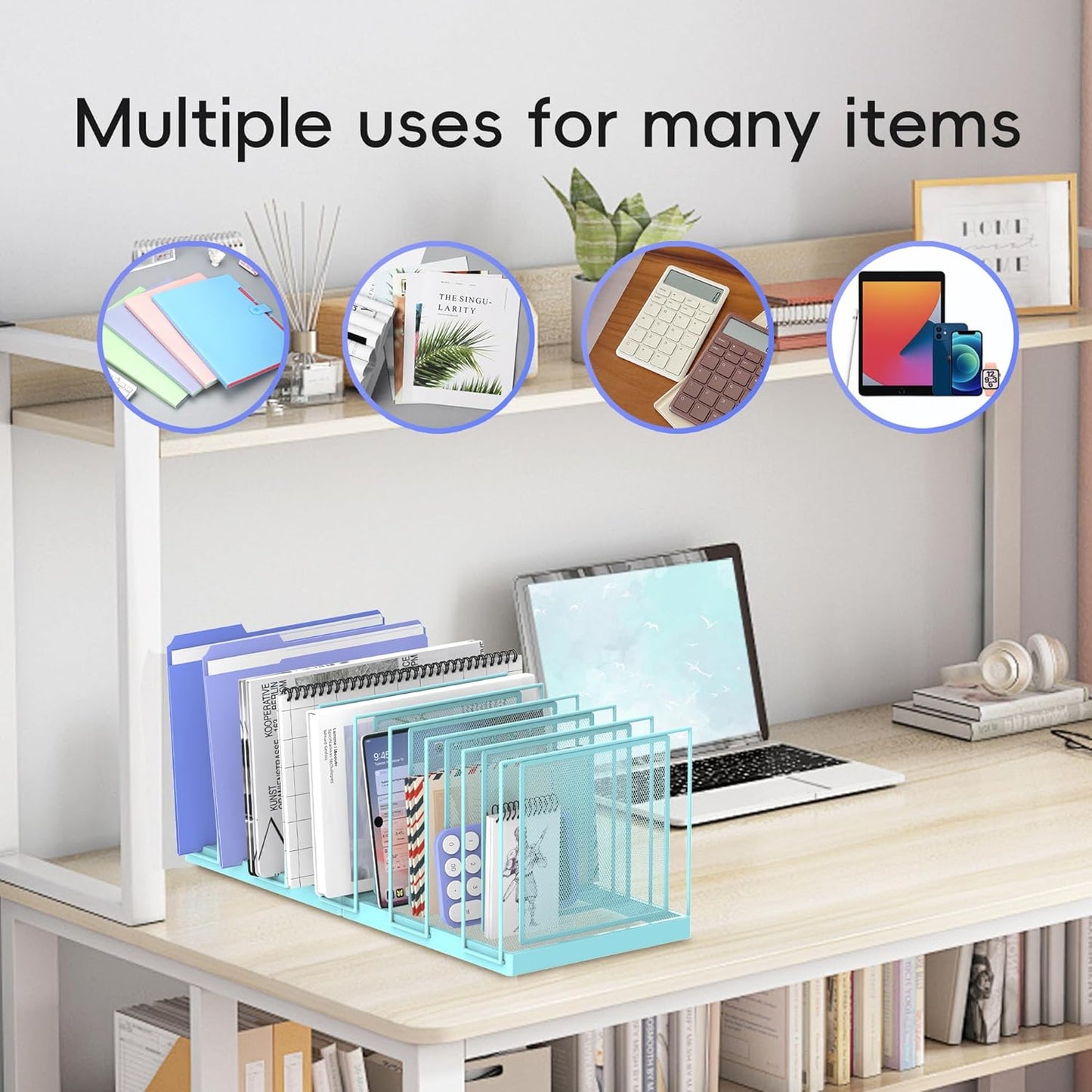 File Organizer for Desk, 5-Section Vertical File Sorter, Paper Holder Organizer Standing Metal File Folder for Office Home Classroom, Black