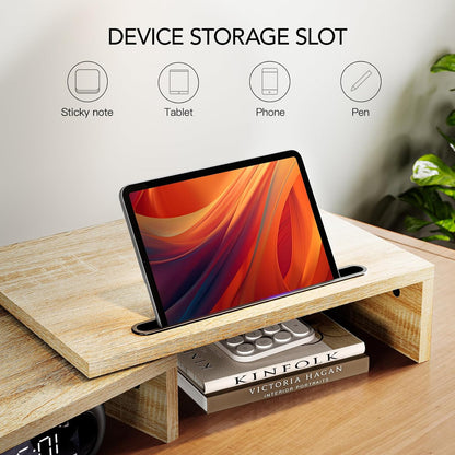 AMERIERGO Dual Monitor Stand Riser for 2 Monitors, Monitor Stand for Desk, Adjustable Computer Monitor Stand with 2 Slot, Multifunctional Desktop Organizer Stand for Laptop, PC, Computer, Printer