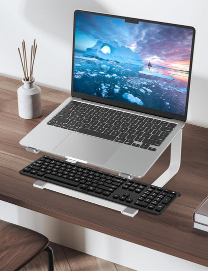 SOUNDANCE Laptop Stand for Desk, Ergonomic Metal Computer Riser for 12-17.3 Inch Laptops, Heavy Duty Stable Desktop Holder, Improves Eye Level & Workspace Organization, Silver