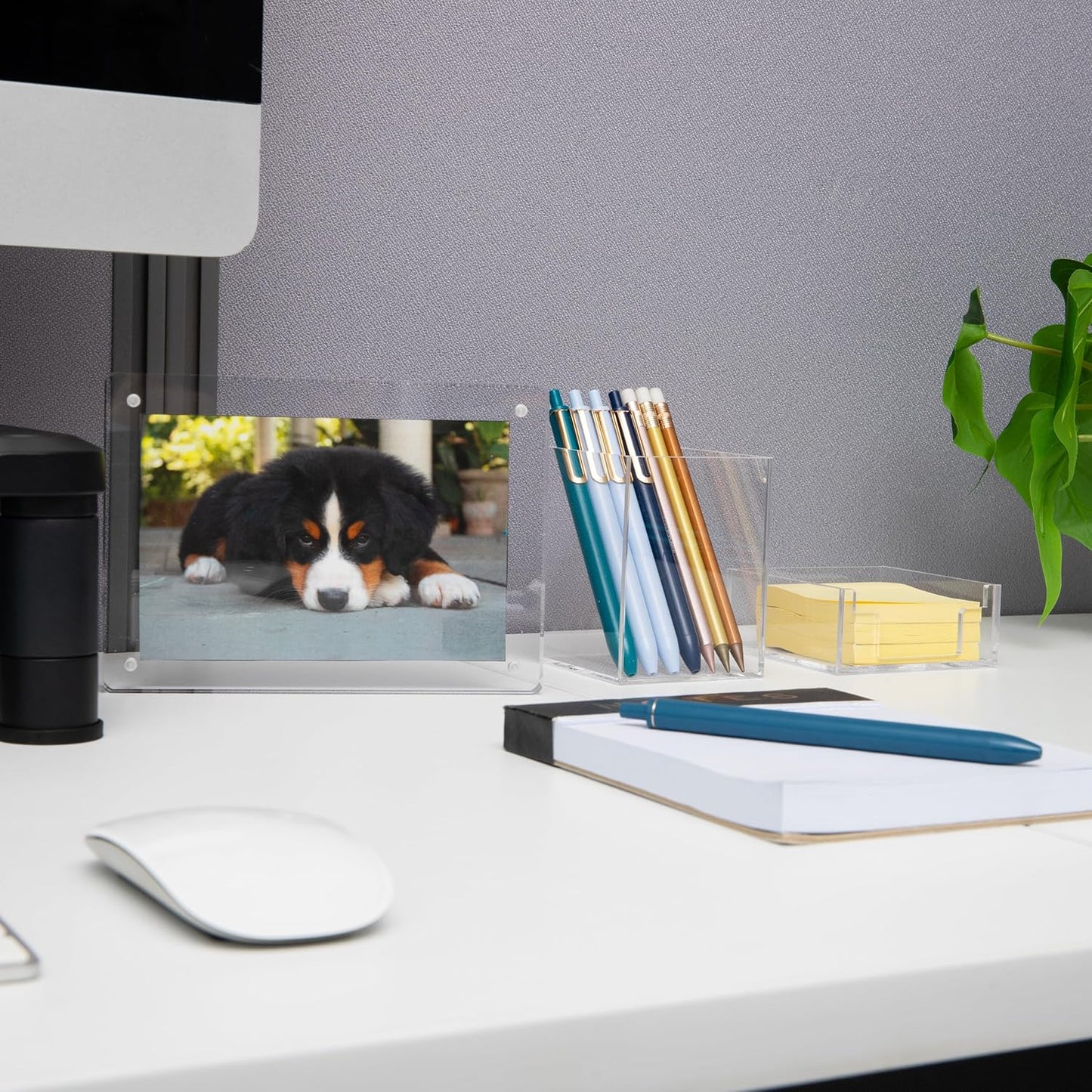 Mind Reader Paper Tray, Desktop Organizer, File Storage, Modern, Office, Acrylic, Clear